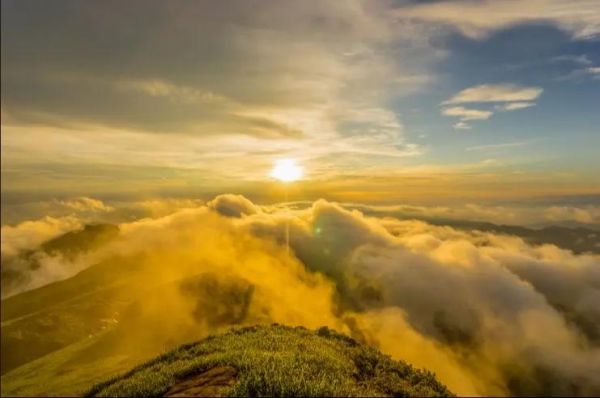 齐云属什么生肖属相的（齐云属什么生肖属相的？）