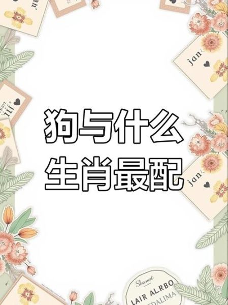 生肖属狗相合和不合的属相（属狗的人跟什么属相相合不合）