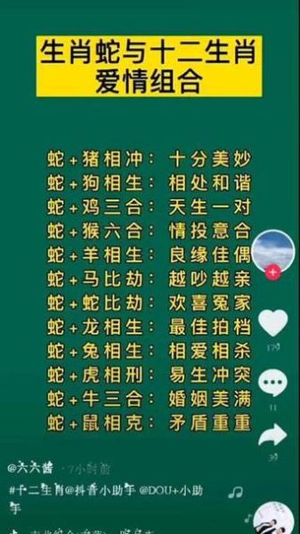 生肖蛇与什么属相和（蛇和什么属相最配？小白速查表😉）