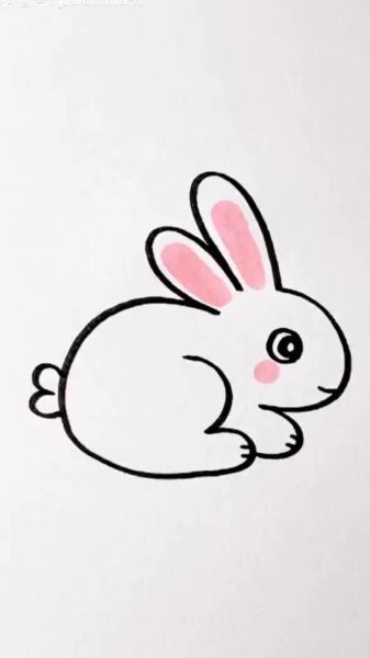 兔子生肖属相画图（兔子生肖简笔画教程步骤）