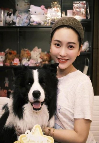 金莎生肖属相（金莎属什么生肖？答案在这里！）