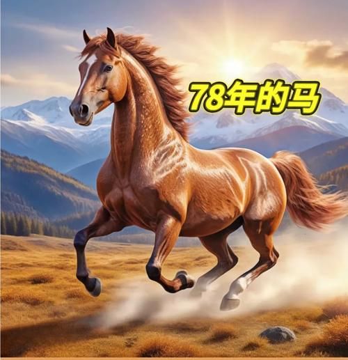 生肖马属相好吗(属马的人运势怎么样好不好)