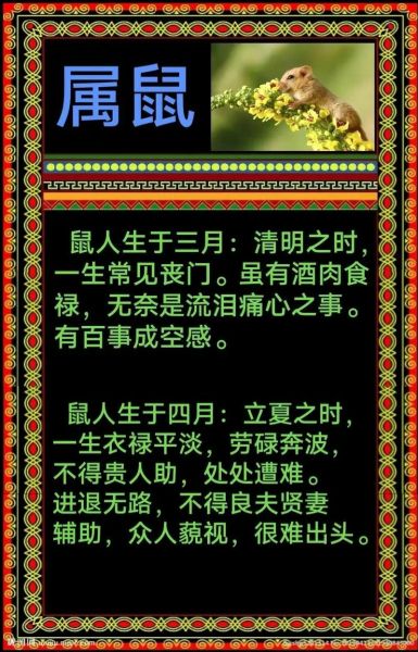 生肖生肖鼠的贵人属相（生肖鼠最旺的3大贵人属相）