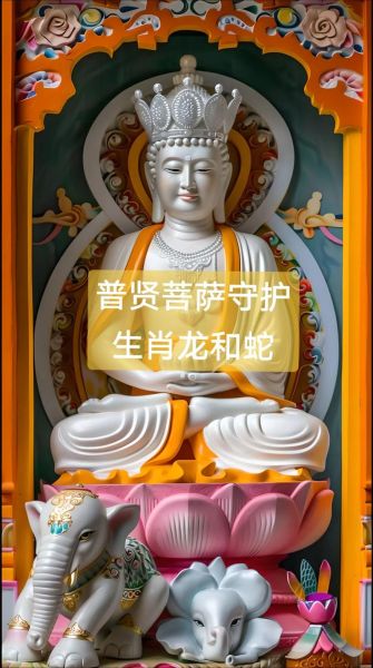 菩萨属相是什么生肖（菩萨属相是什么生肖？小白一看就会的答案👀）