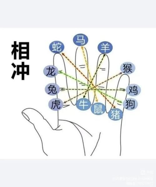 不同生肖属相的关系（生肖牛马相冲怎么破解最简单）