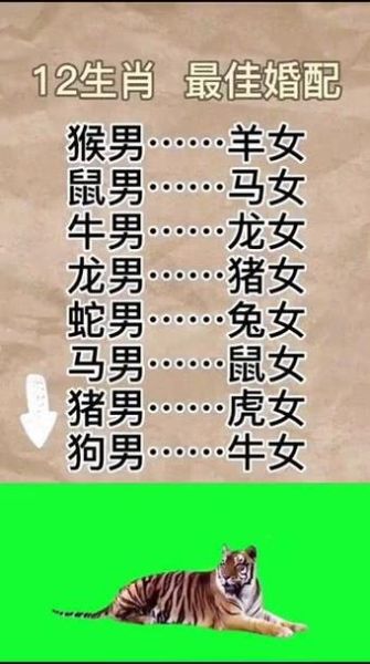 马生肖男配什么属相（马生肖男配什么属相最好？）
