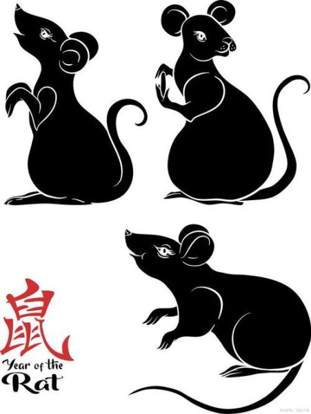 黑色生肖是什么属相