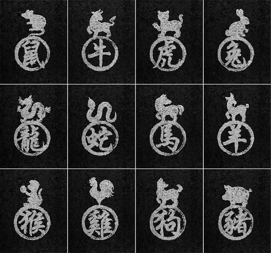 黑色生肖是什么属相