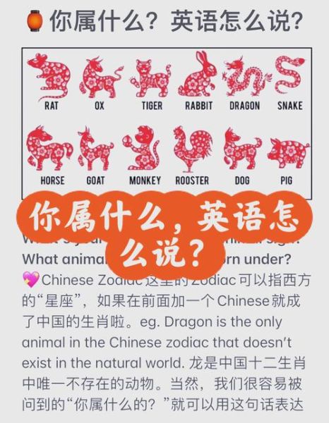用英语问生肖属相（“你的生肖是什么？”英语怎么说）