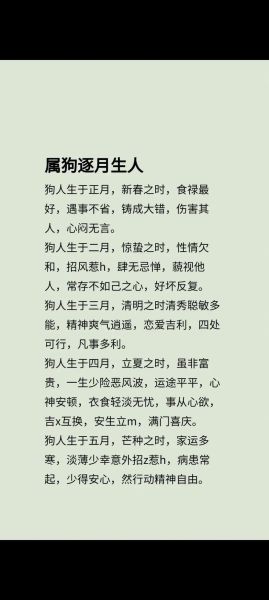 生肖狗属相是啥（生肖狗属相是啥？一分钟教你快速弄懂）