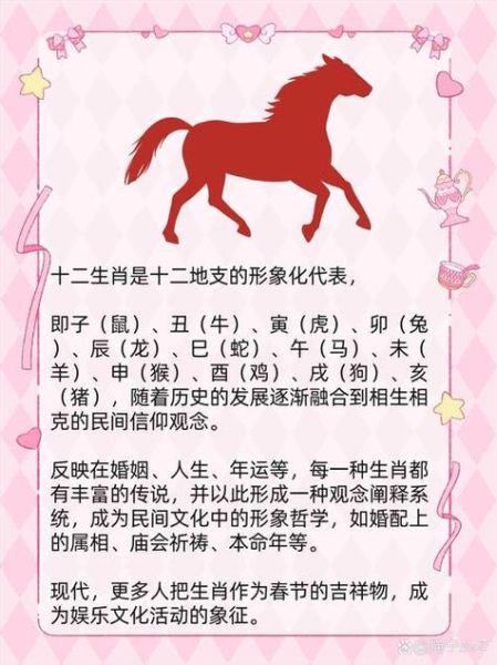 胡大强什么生肖属相