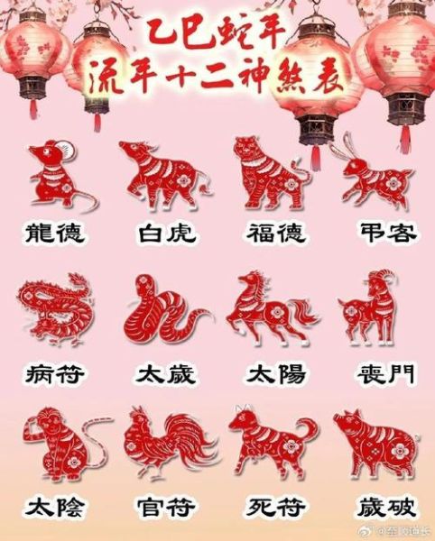 阴阳属相是什么生肖（阴阳属相是哪几个生肖？小白秒懂版 🐉）