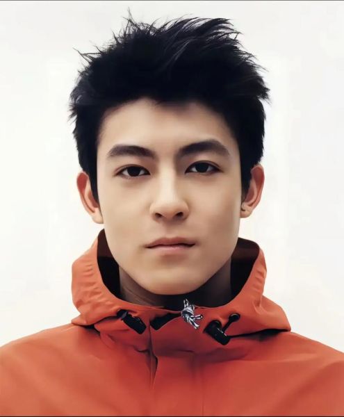 陈冠希生肖属相（陈冠希属什么生肖？新手指南一次看懂🎯）