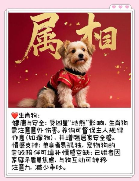 生肖属相和养狗（属狗的人适合养什么狗？）