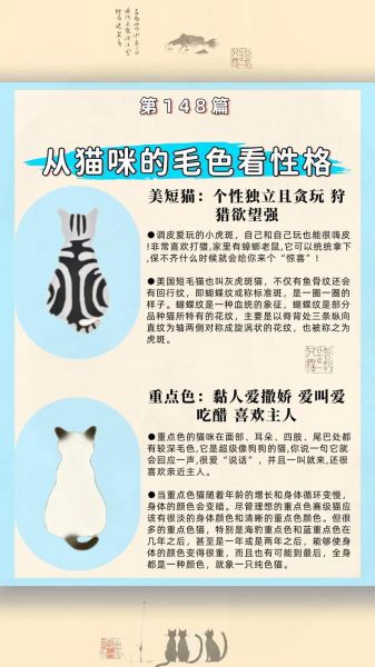 生肖猫的属相（生肖猫属于什么属相）