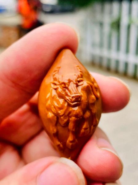 生肖属相橄榄核雕（生肖属相橄榄核雕怎么挑新手一看就会）