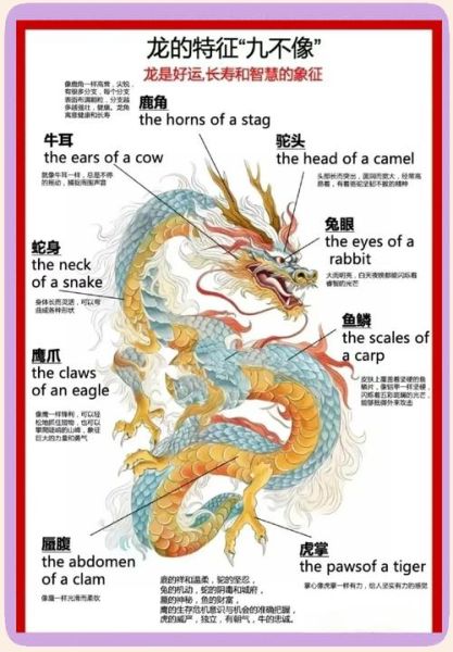 龙属相不合的生肖（龙属相不合的生肖到底有哪些？）