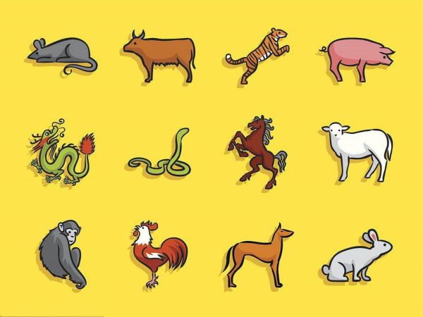 属相12生肖图（2024最新属相12生肖图长啥样？）