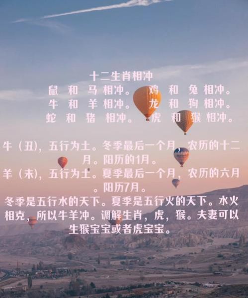 水是什么生肖属相（水生肖是哪年？新手一看就懂）