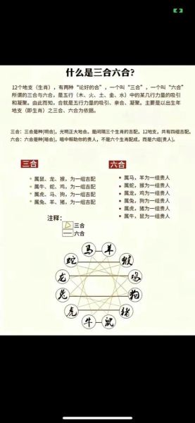 生肖属相猴和羊(生肖猴和羊的合不合?新手速懂指南)