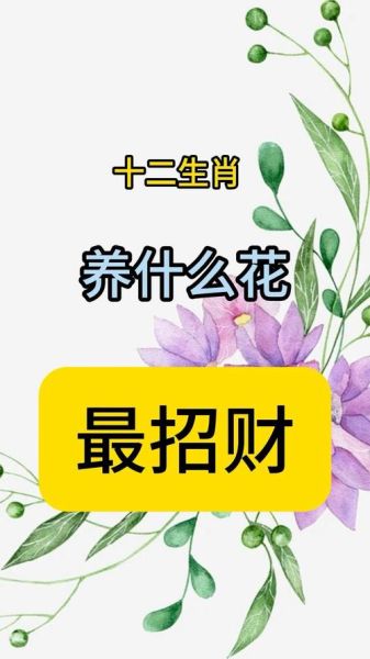 金花属相是什么生肖（金花属相是什么生肖？小白看这里）