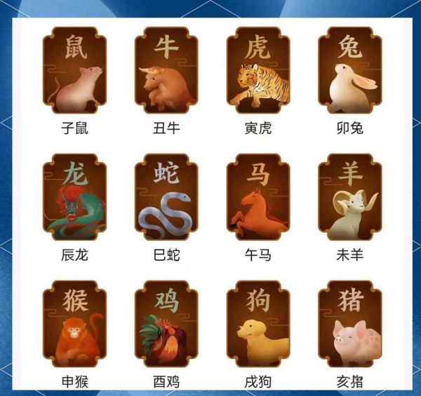 宁波生肖属相(宁波孩子出生属相按立春还是春节)