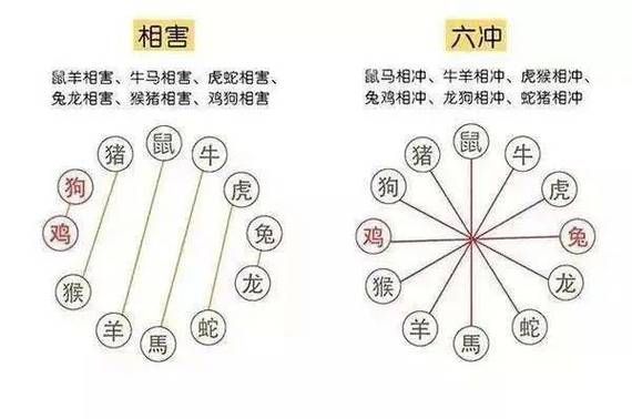 风水上哪里看生肖属相（生肖属相在风水书中看哪里）