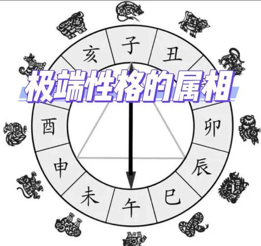 阿正属相生肖（阿正属相生肖是什么）