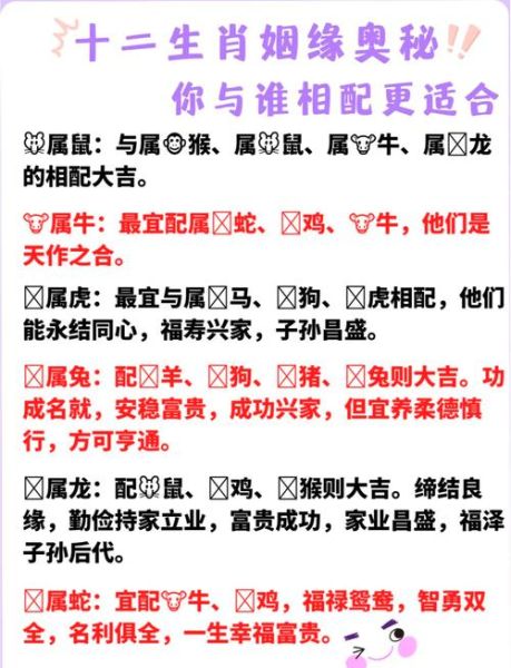 生肖配最佳属相婚配（生肖鼠最佳婚配属牛的是真的吗）