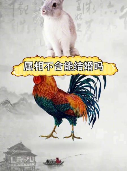 鸡的最佳生肖配偶属相(鸡的最佳婚配属相详解)