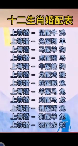 12属相生肖街（2024十二生肖一条街在哪个城市）