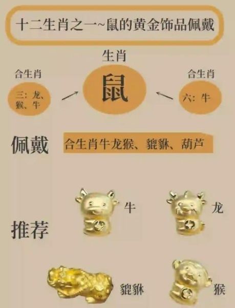 属相老鼠是什么生肖（属鼠的是哪一年生肖对照表）