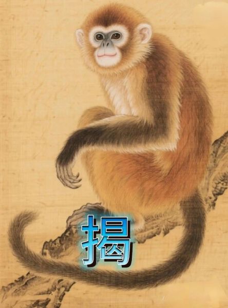 68年属生肖属相（68年出生的生肖是什么🐒？答案抢先看！）