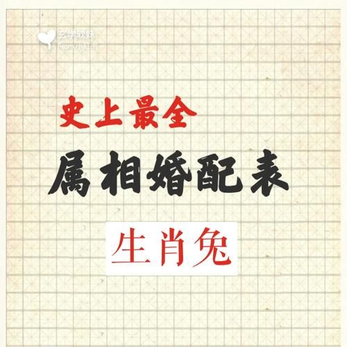 生肖兔和什么属相最佳（属兔和什么生肖最合婚缘）