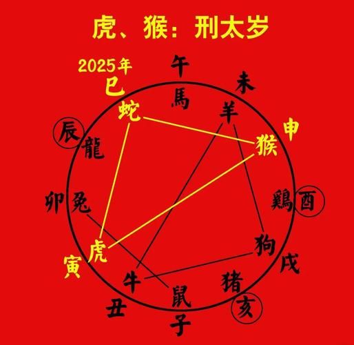 虎年犯太岁生肖属相查询（虎年犯太岁生肖查询指南）