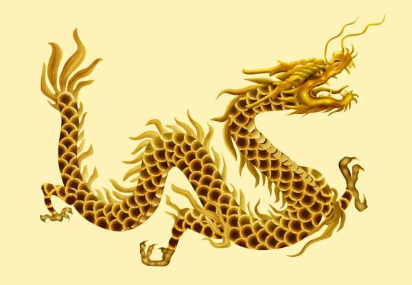 蜀龙属什么生肖属相