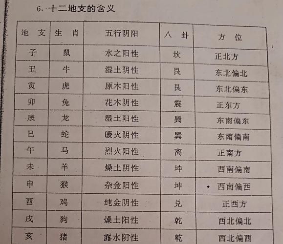 地支怎么判断生肖属相