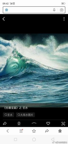 属水的生肖属相（属水的生肖有哪些？新手一看就懂🌊）