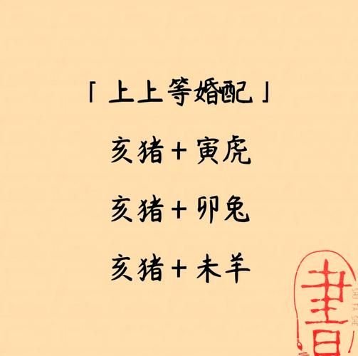 猪生肖配偶属相（猪婚配什么生肖最好）