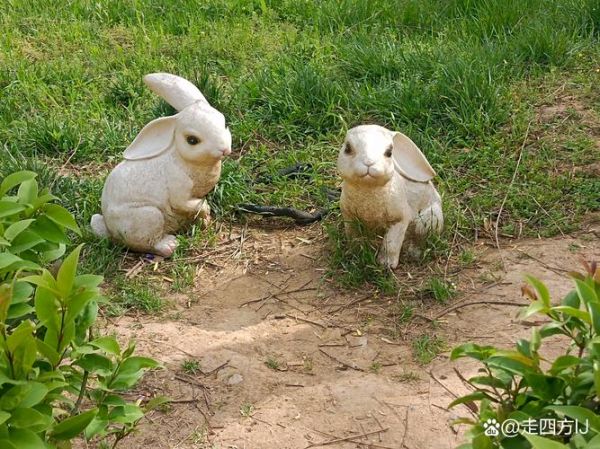 兔属相生肖石像好吗（兔属相家里摆石像好吗）