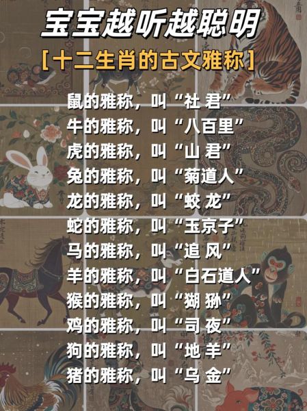 生肖属相怎么念拼音的（生肖属相拼音读法大全）
