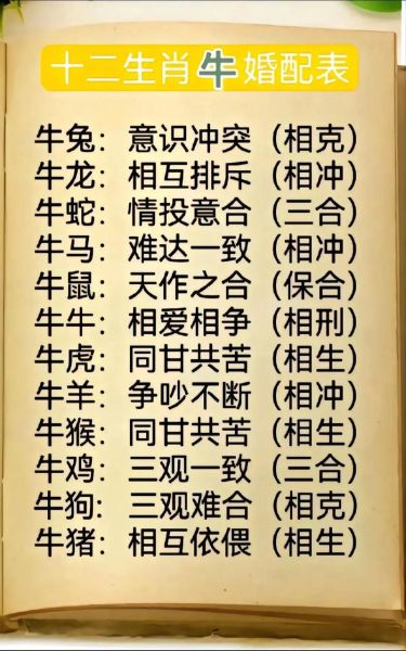 牛生肖属相合（属牛的跟哪些属相最合？一篇看懂配对玄学）