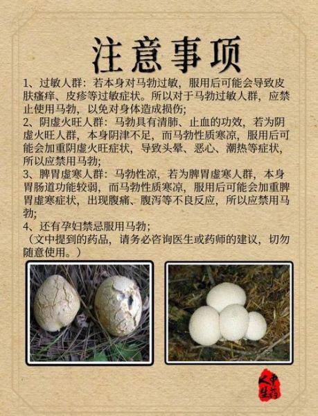 马勃属相是什么生肖（马勃属相是什么生肖？小白也能看懂！）