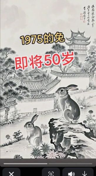 生肖兔的属相故事（生肖兔的传说故事）