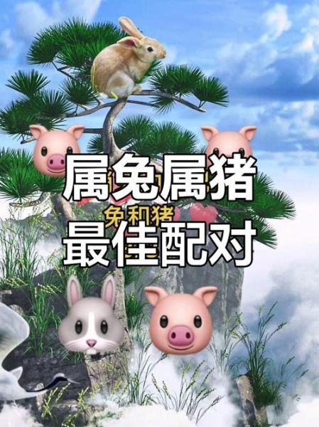 生肖猪找什么属相好（生肖猪和哪个属相最配？虎、兔、羊上榜）