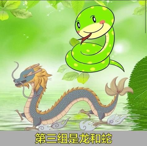 龙蛇帝王属相是什么生肖