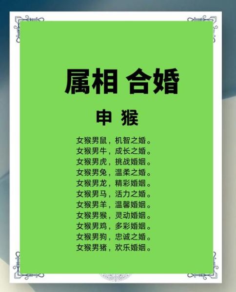 属相猴与什么生肖合伙好（属猴最佳合伙人属相配对指南）