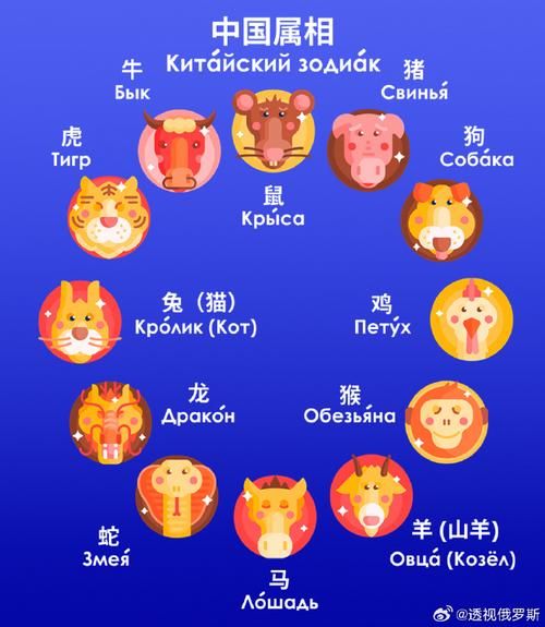 老外看生肖属相（老外看生肖属相为何如此上头）