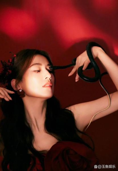 黄圣依生肖属相（黄圣依生肖是属什么的）