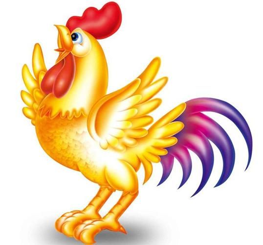 生肖鸡比较合的属相（生肖鸡比较合的属相有哪些）